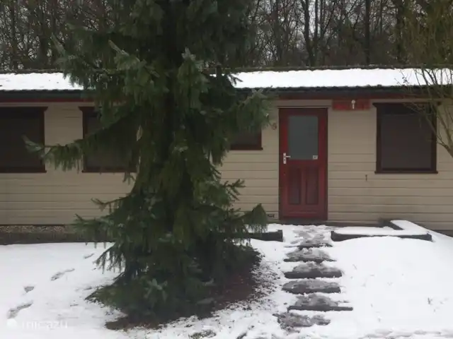 Boszicht - Winter